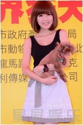 �c���鿴�M�D